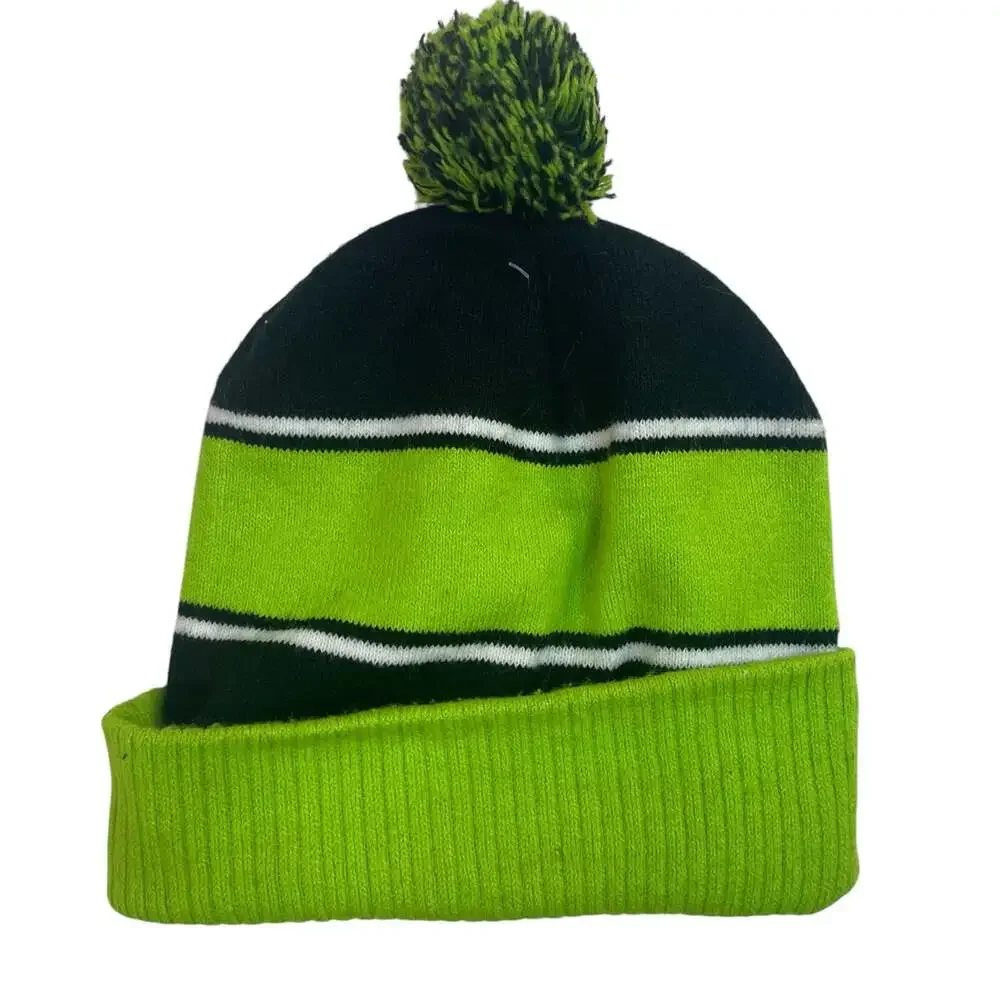 Teenage Mutant Ninja Turtles Pom Beanie Hat OSFM Nickelodeon 2024